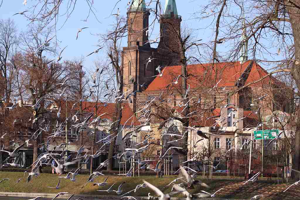 Przedpołudnie nad Wenecją