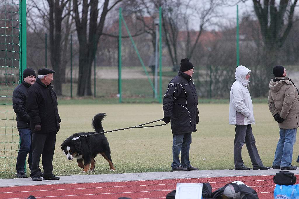 Miedź wygrywa ze Śląskiem MESA