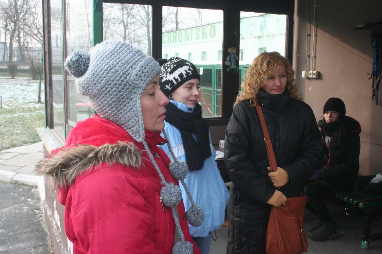 Sukces wolontariuszek ze schroniska. Jest kompromis