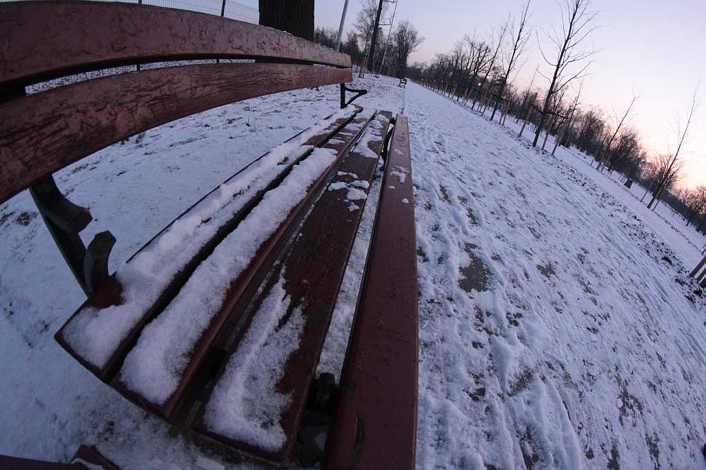 Legnica w obiektywie : Całkiem inny park