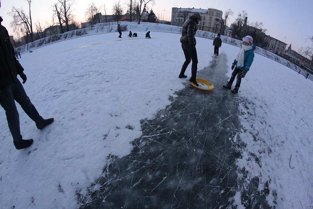 Legnica w obiektywie : Całkiem inny park