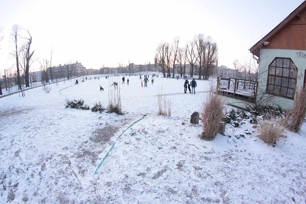 Legnica w obiektywie : Całkiem inny park