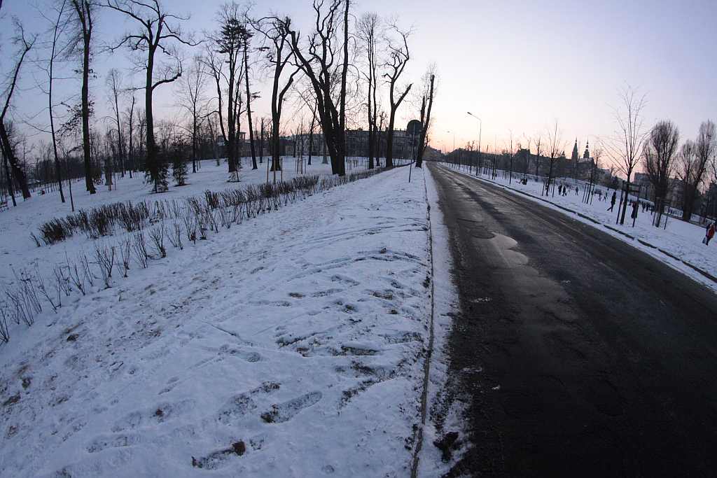 Legnica w obiektywie : Całkiem inny park