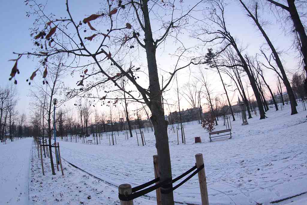Legnica w obiektywie : Całkiem inny park