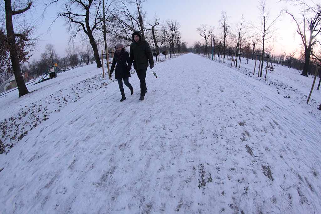 Legnica w obiektywie : Całkiem inny park
