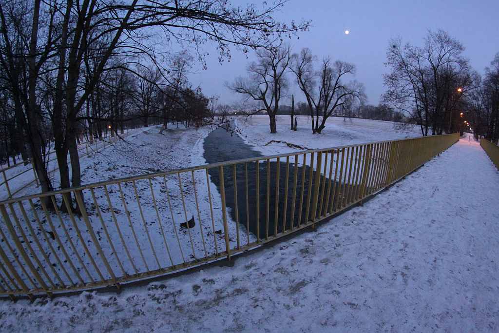Legnica w obiektywie : Całkiem inny park