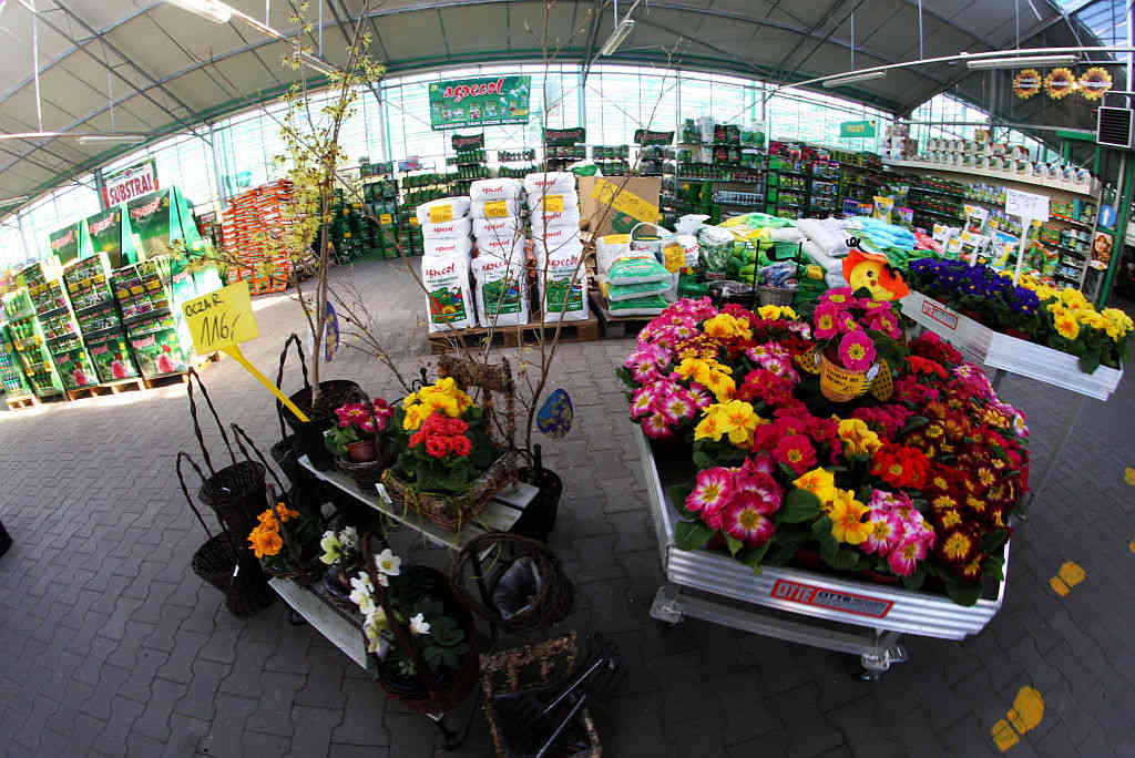 Weekend w Centrum Ogrodniczym Majewskich