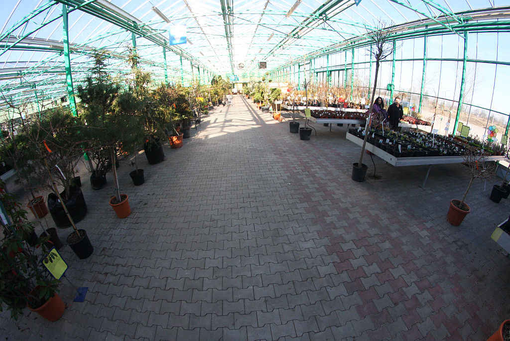 Weekend w Centrum Ogrodniczym Majewskich