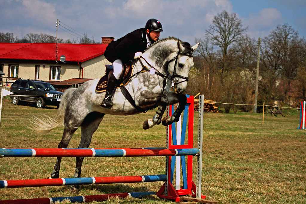 Wszechstronny Konkurs Konia Wierzchowego cz1