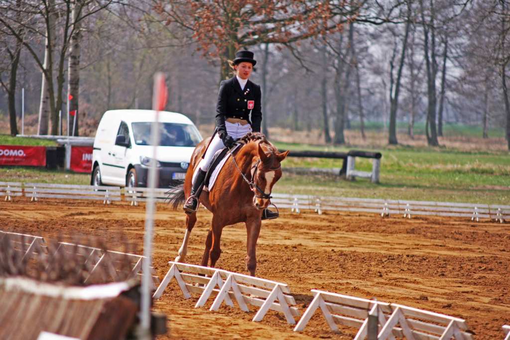 Wszechstronny Konkurs Konia Wierzchowego cz1