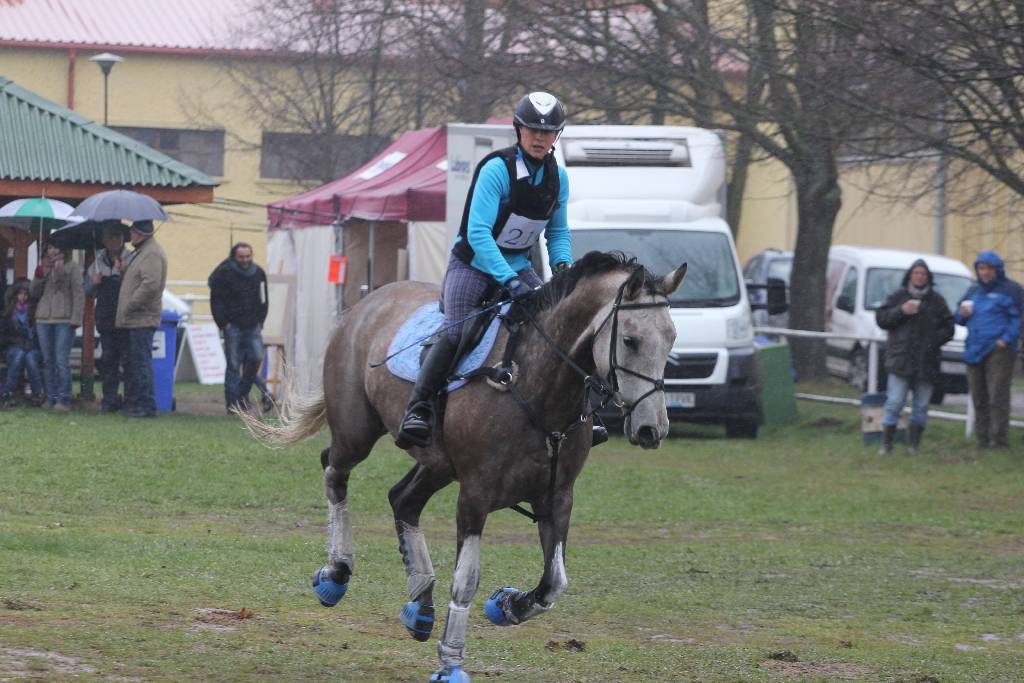 Wszechstronny Konkurs Konia Wierzchowego cz3