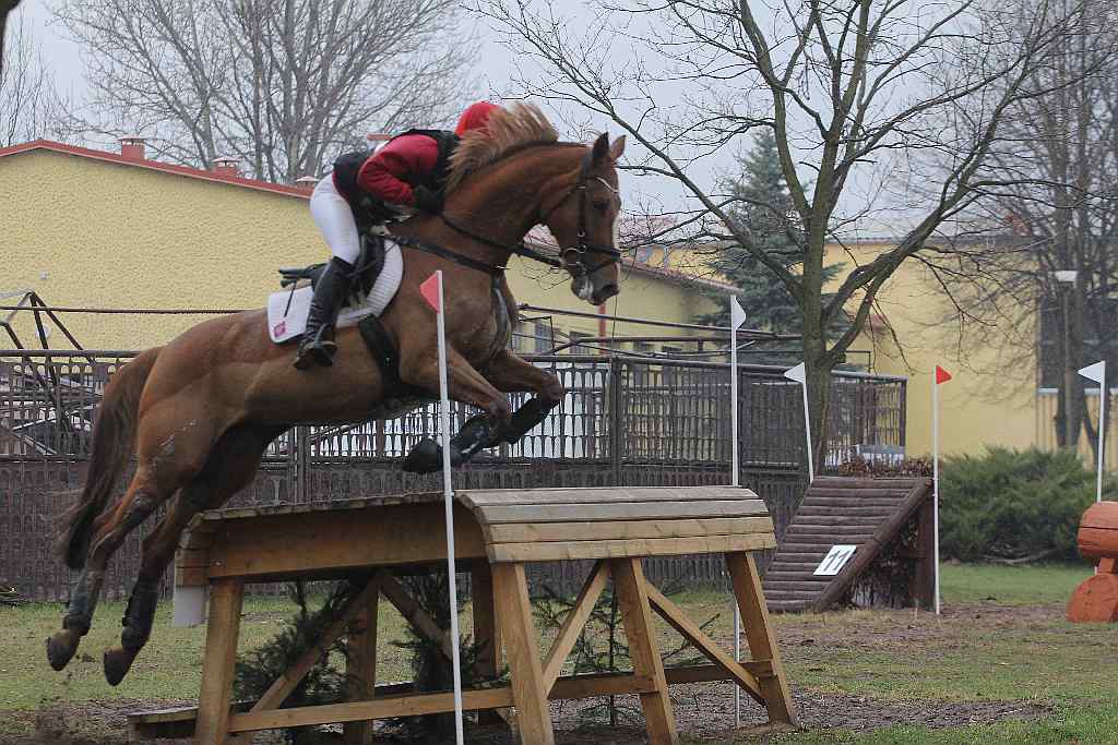 Wszechstronny Konkurs Konia Wierzchowego cz3
