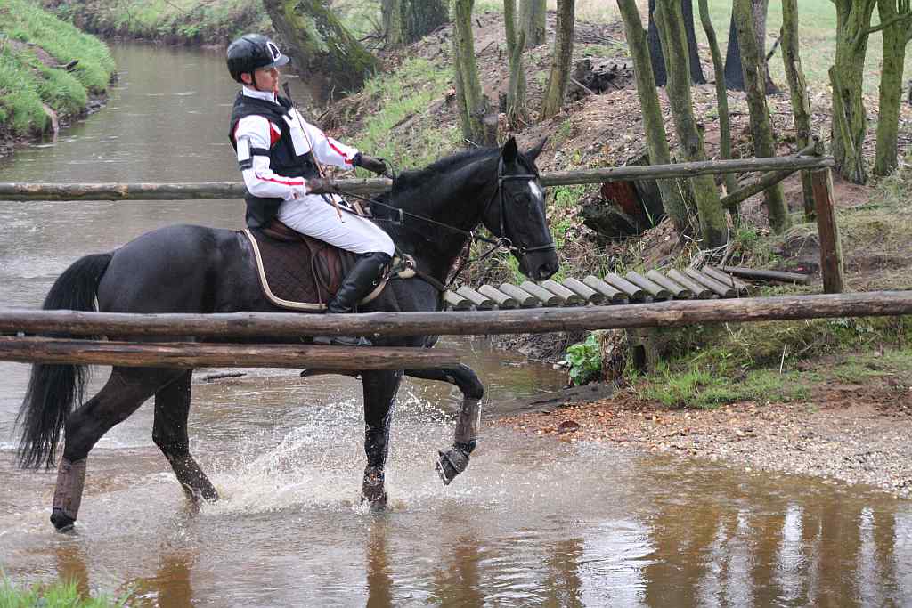 Wszechstronny Konkurs Konia Wierzchowego cz2