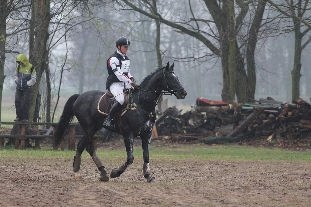 Wszechstronny Konkurs Konia Wierzchowego cz3