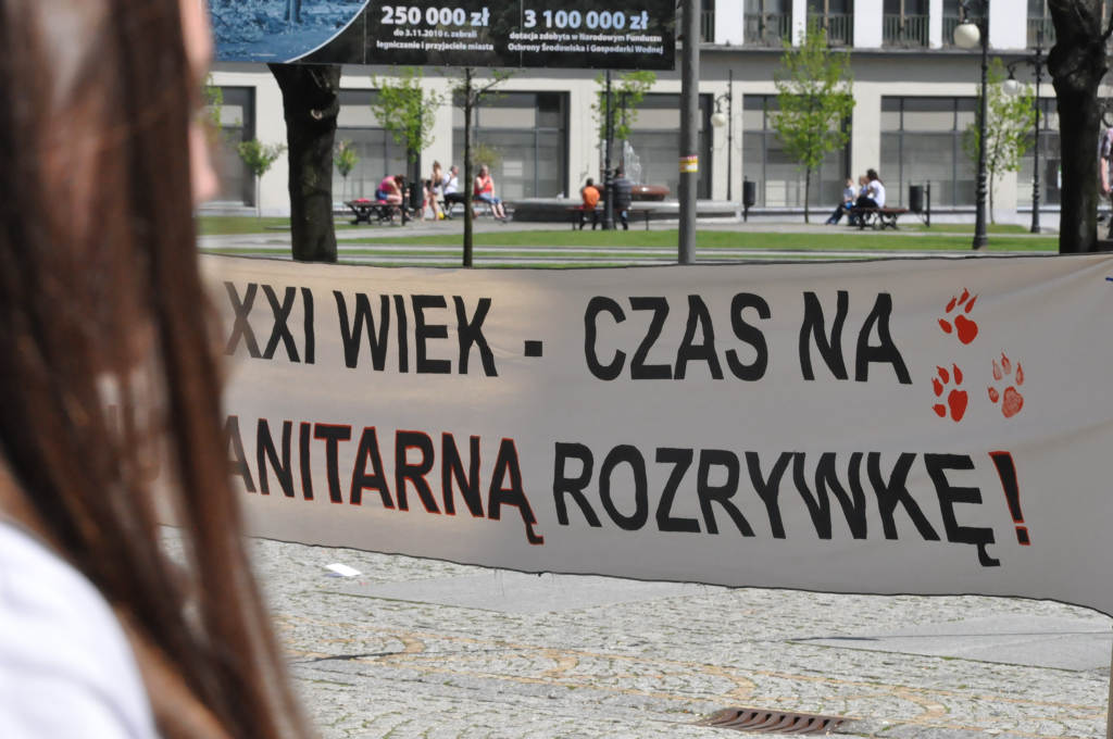 Avatar apeluje o cyrk bez zwierząt