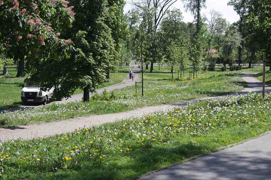Maj w legnickim parku