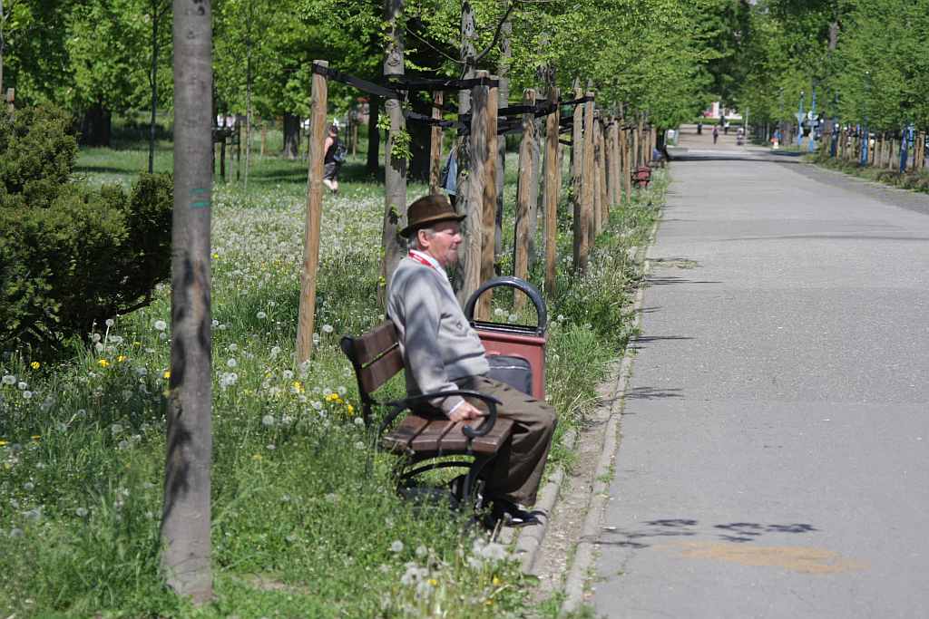 Maj w legnickim parku