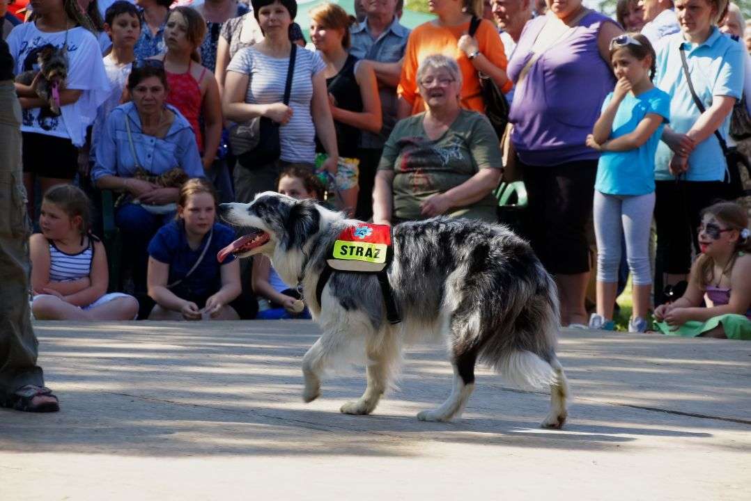 Olimpijczycy dla Mariki