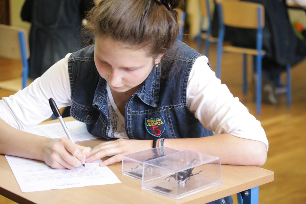 Maraton ekologiczny w V Gimnazjum