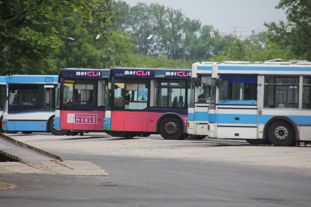 Legniczanie oglądali autobusy