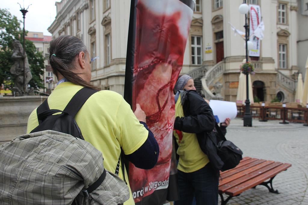 Szokująca pikieta w legnickim Rynku