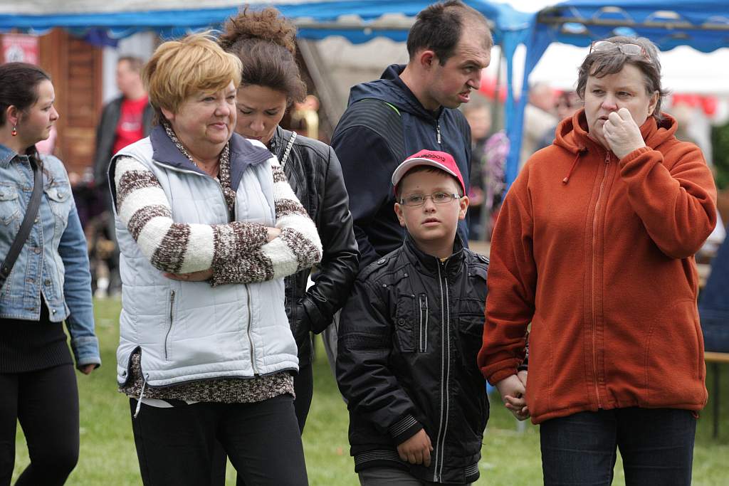 HENRYKALIA 2012 cz2