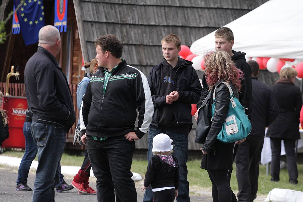 HENRYKALIA 2012 cz2