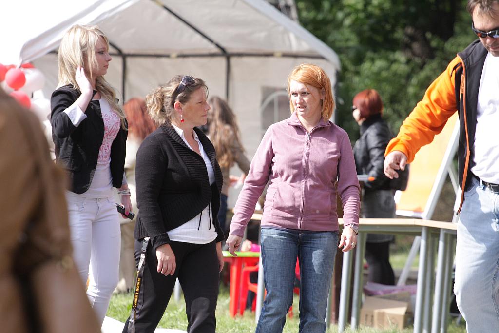HENRYKALIA 2012 cz1