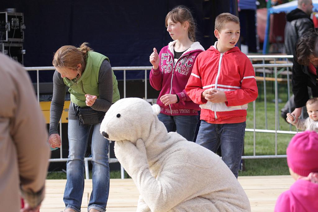 HENRYKALIA 2012 cz2