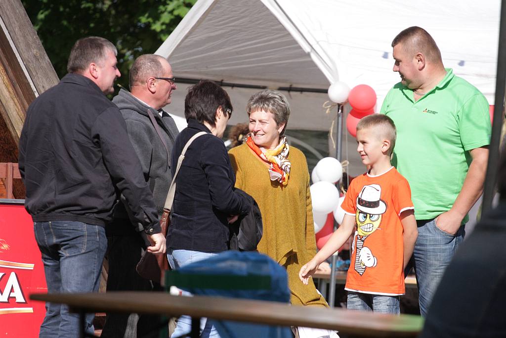 HENRYKALIA 2012 cz2