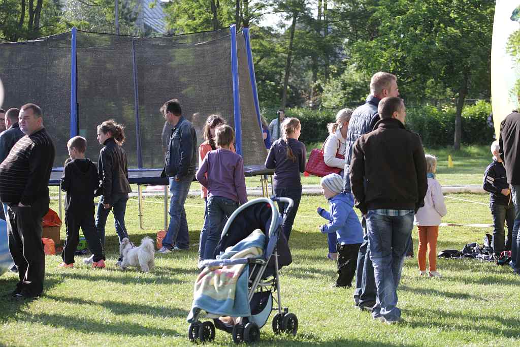 HENRYKALIA 2012 cz2