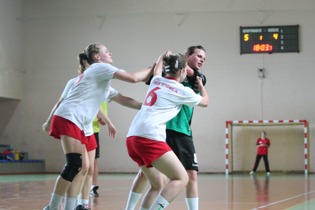 Lion Cup 2012 cz2