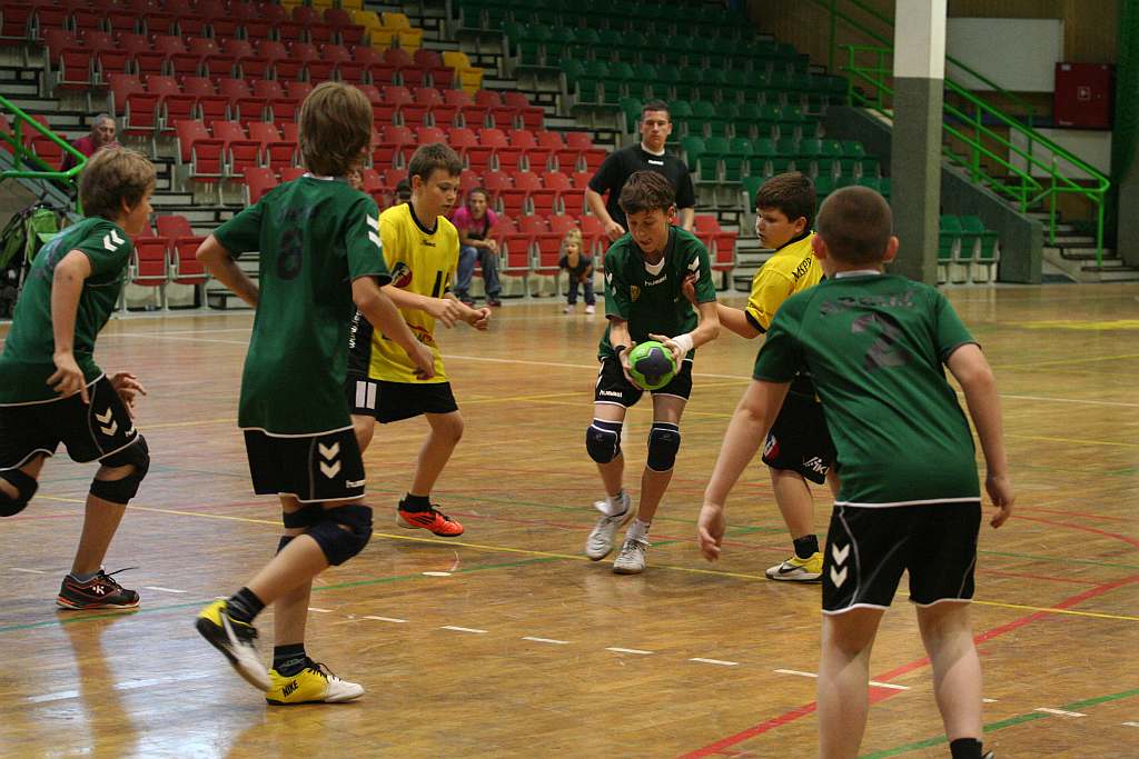 Lion Cup 2012 cz5
