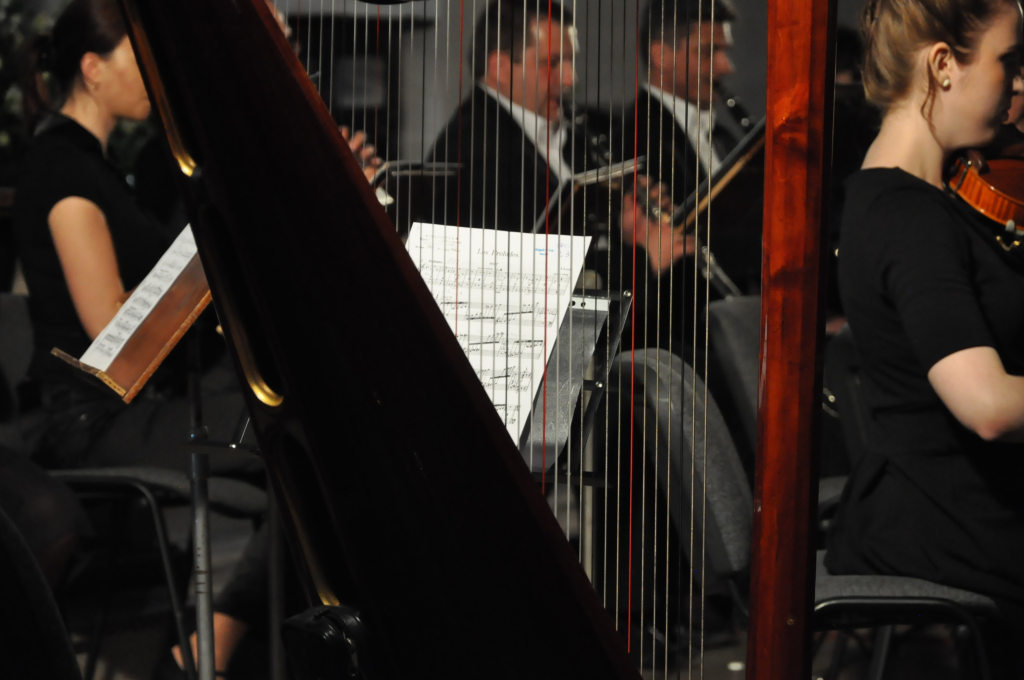 Koncert Legnickiej Orkiestry Symfonicznej