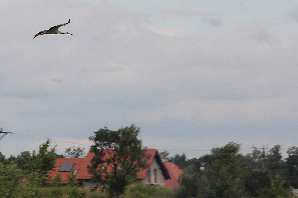Każde pokolenie ma swoje marzenie