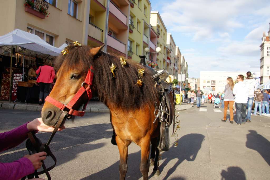 Lwóweckie Lato Agatowe