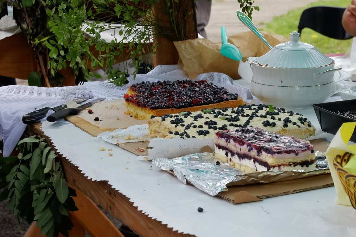 IX Dzień Jagody