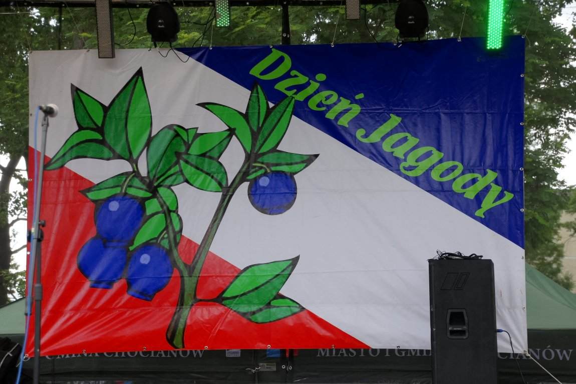 IX Dzień Jagody