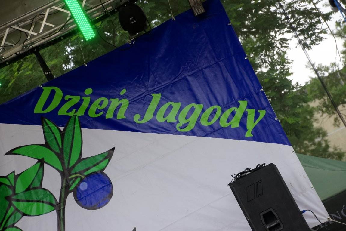 IX Dzień Jagody