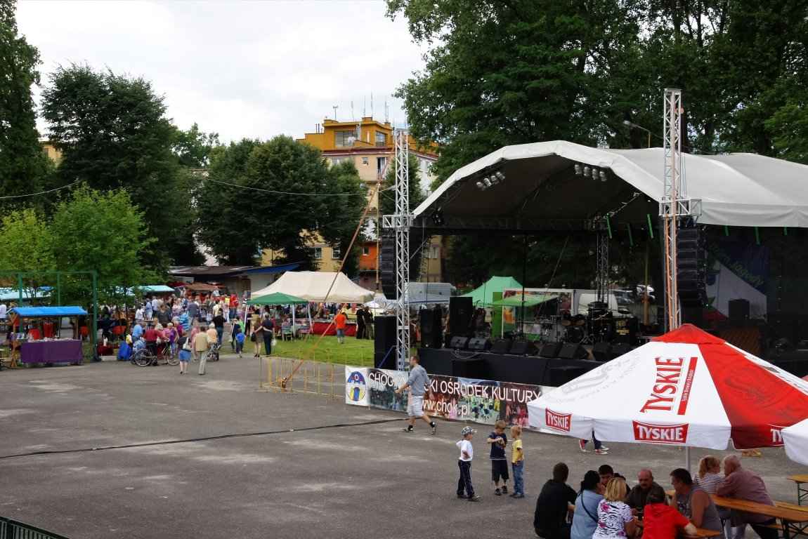 IX Dzień Jagody
