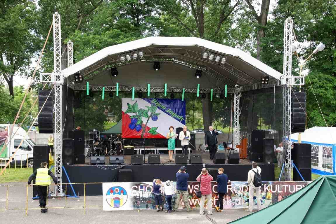 IX Dzień Jagody