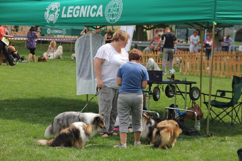Puchar Polski Agility w Legnickim Polu