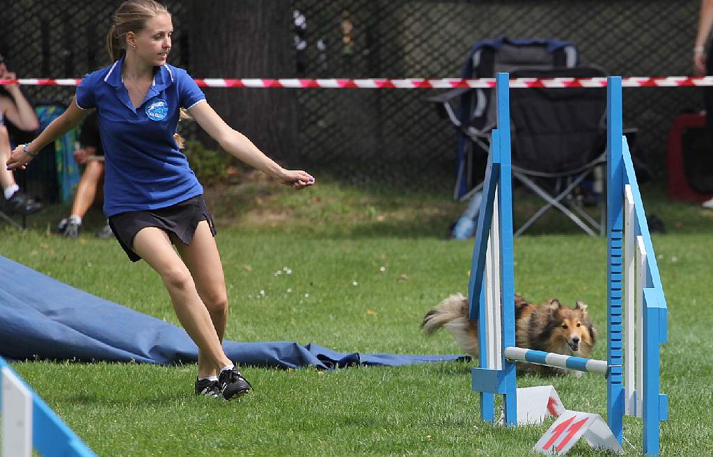 Puchar Polski Agility w Legnickim Polu