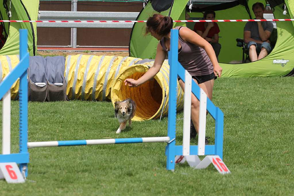 Puchar Polski Agility w Legnickim Polu