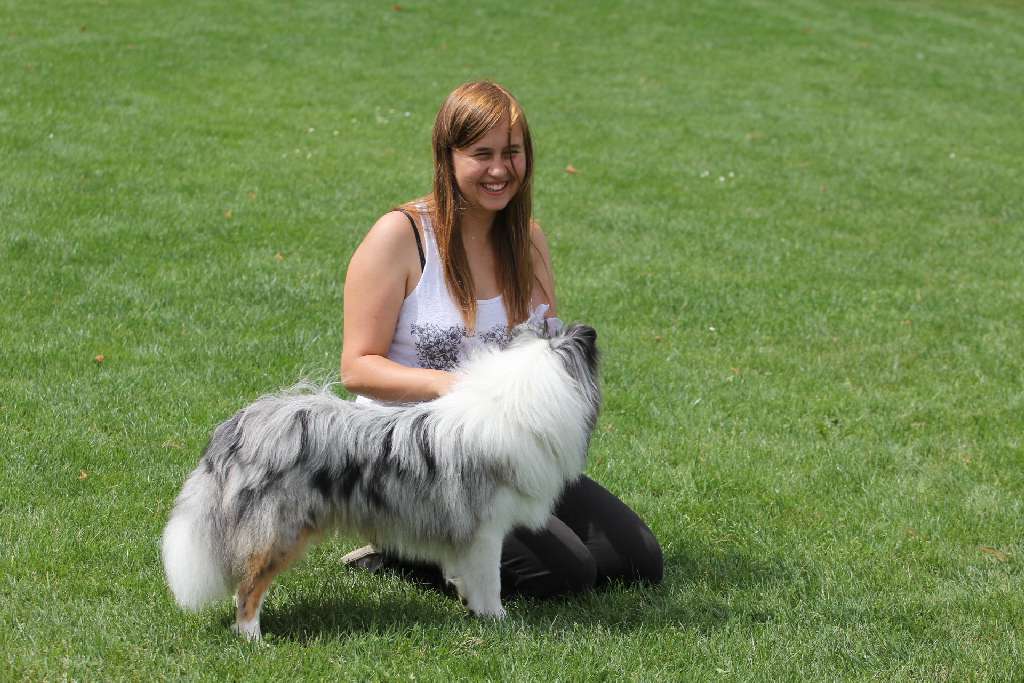 Puchar Polski Agility w Legnickim Polu