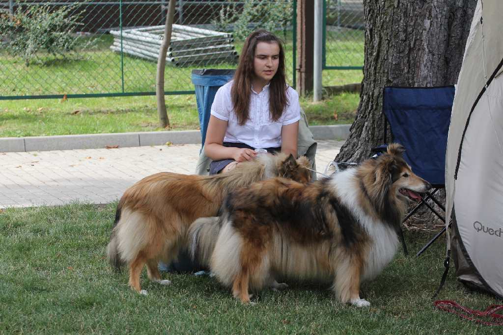Puchar Polski Agility w Legnickim Polu