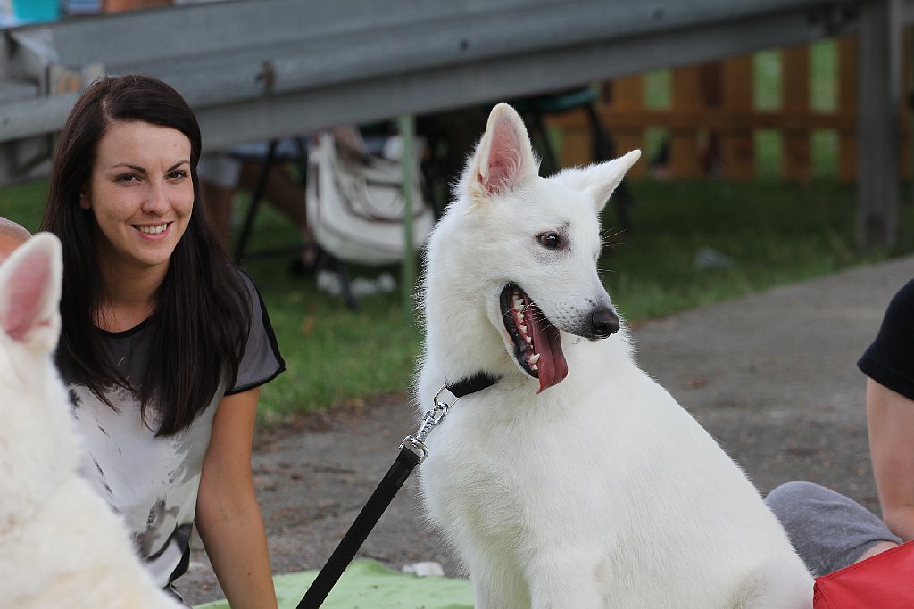 Puchar Polski Agility w Legnickim Polu