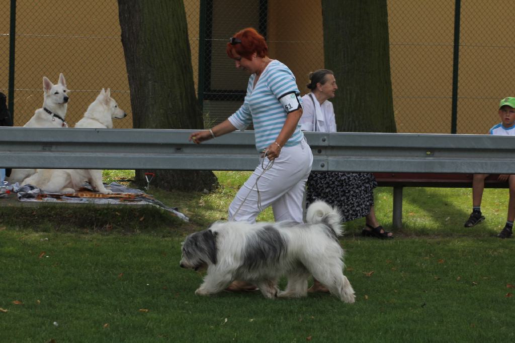 Puchar Polski Agility w Legnickim Polu