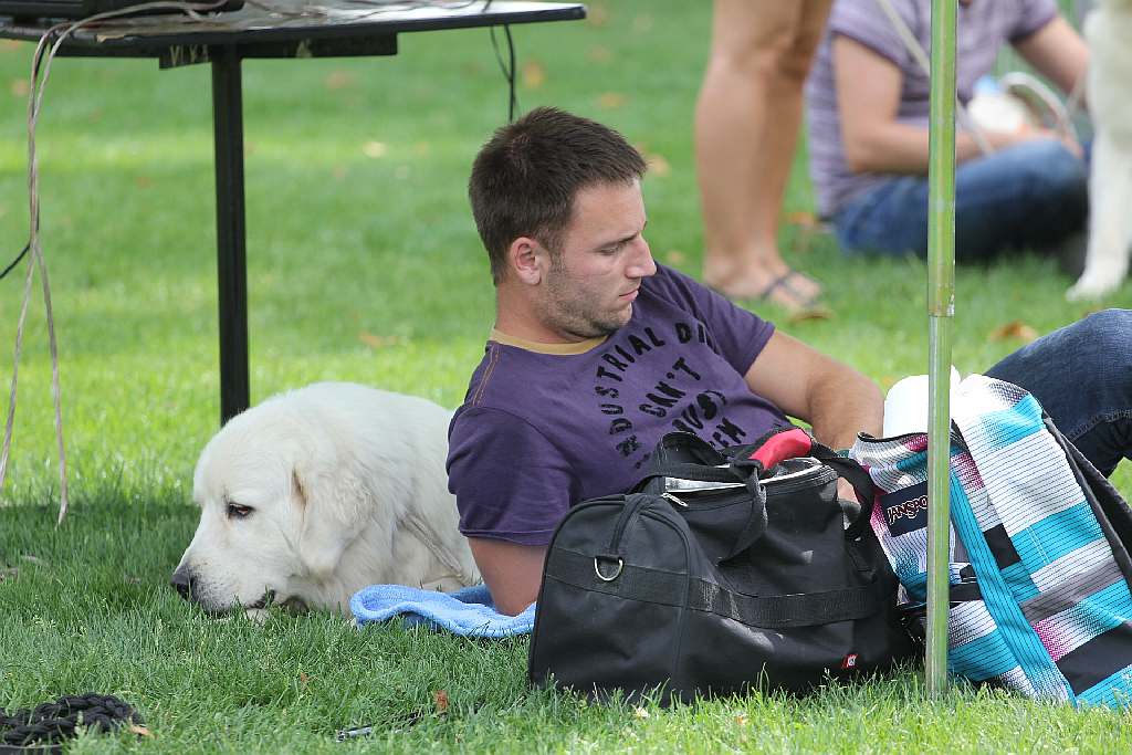 Puchar Polski Agility w Legnickim Polu