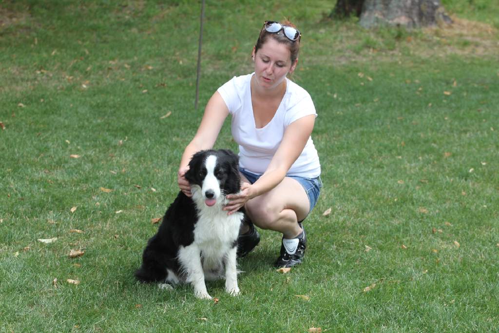 Puchar Polski Agility w Legnickim Polu